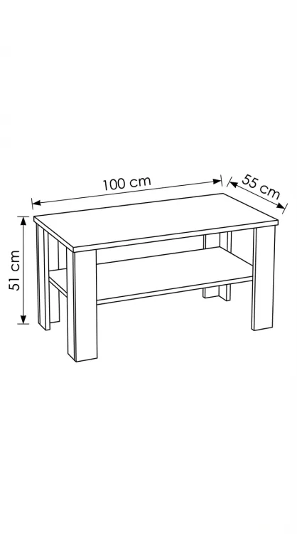 100x55 wymiary 1.png